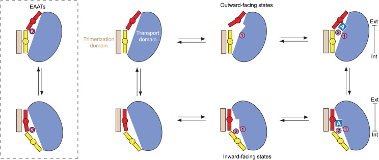 Figure 10.