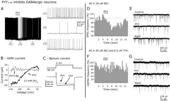 
Figure 12.
