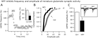 Figure 10.