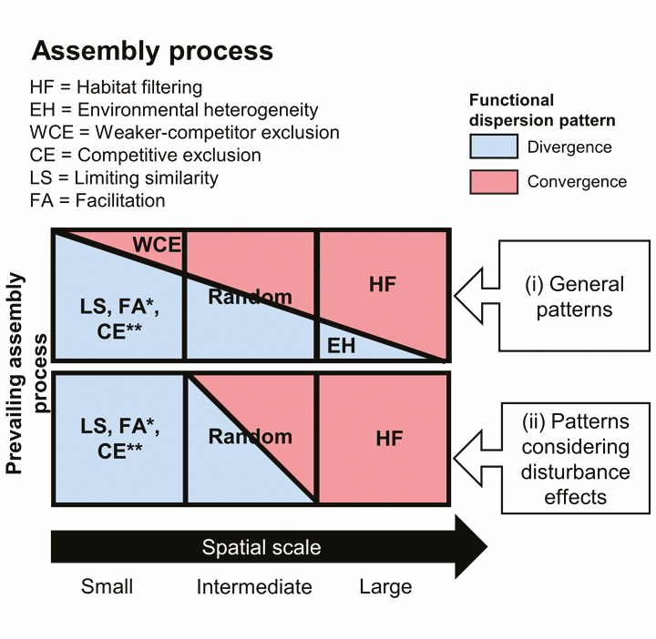 graphic file with name mcaa205_fig2.jpg