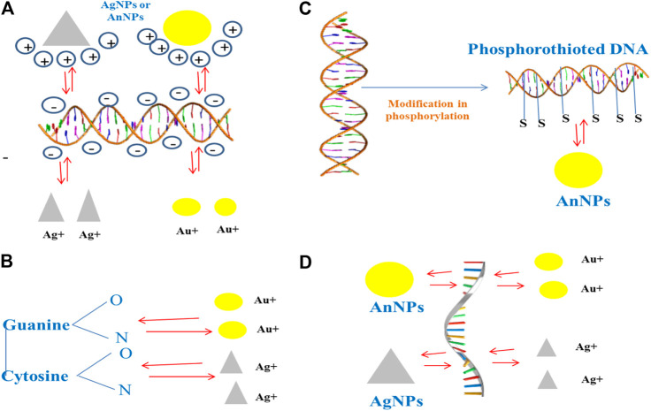 FIGURE 2