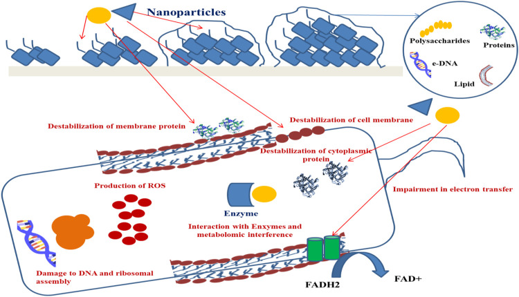 FIGURE 3