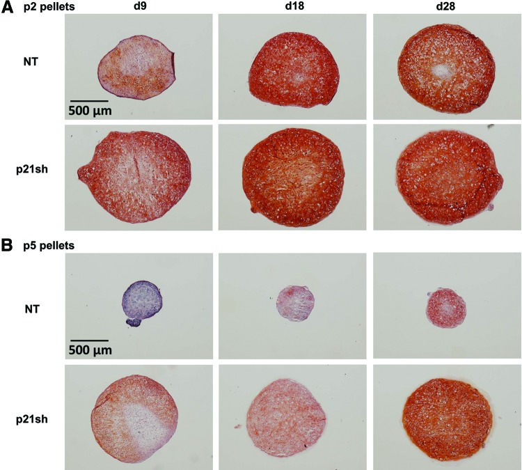 FIG. 6.