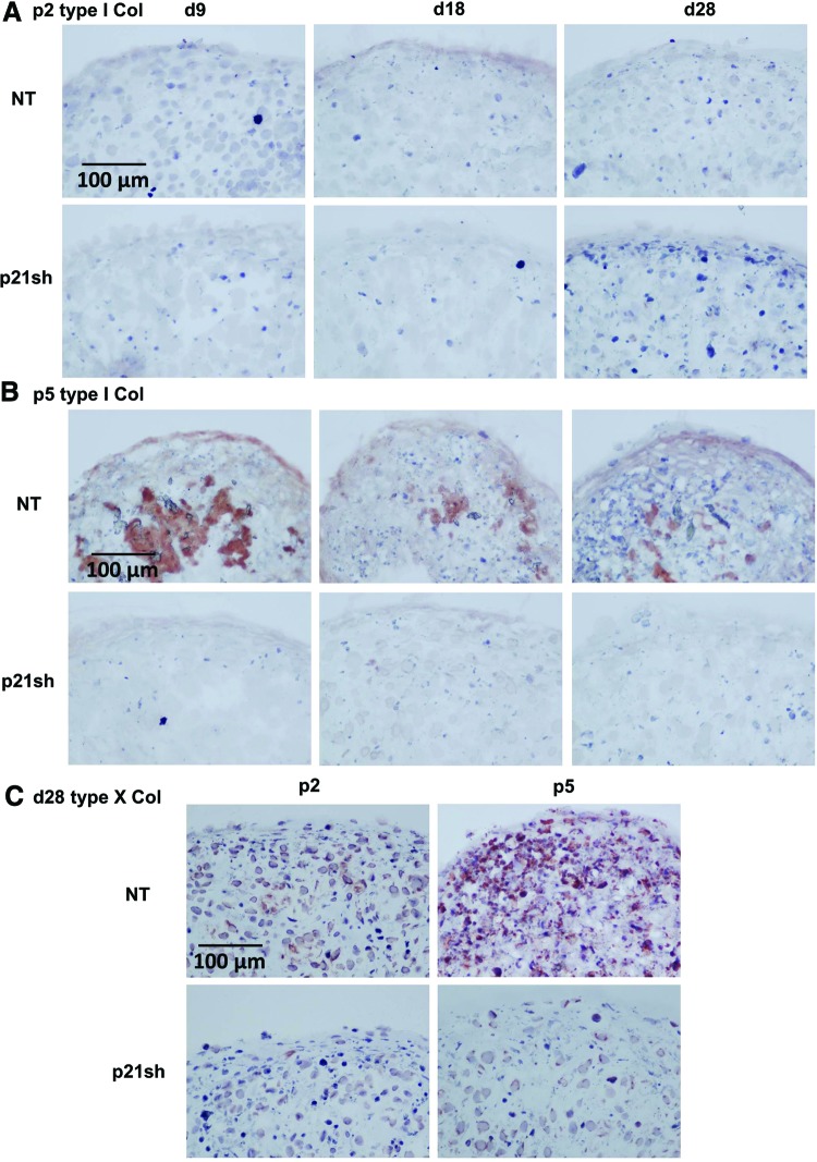 FIG. 10.