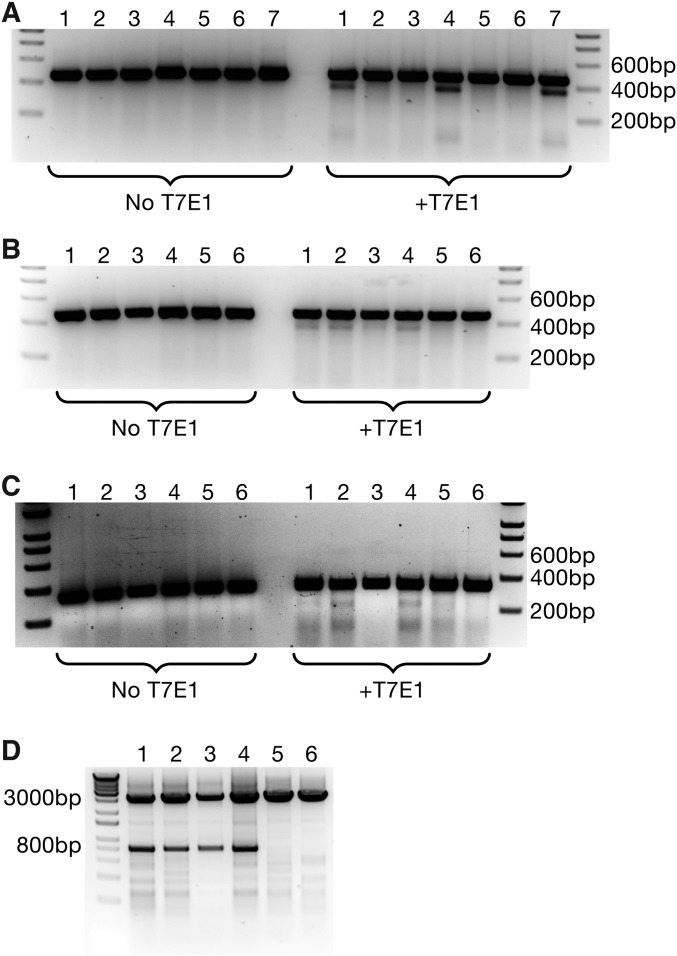 Fig. S3.