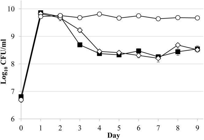 FIG 3