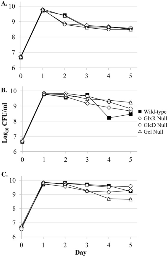 FIG 7