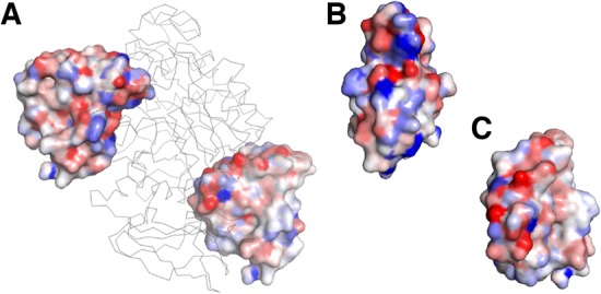 Fig. 2.