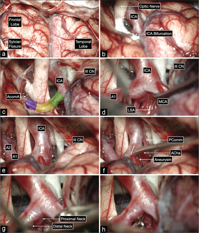 Figure 6: