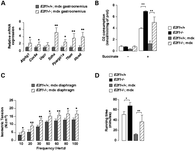 Figure 3.