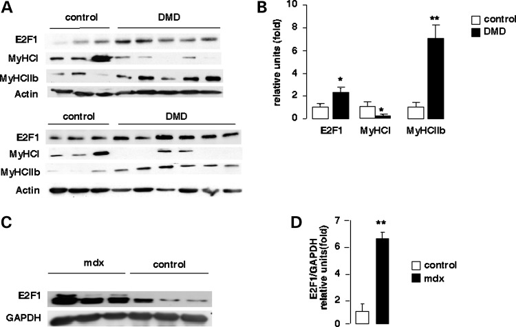 Figure 4.