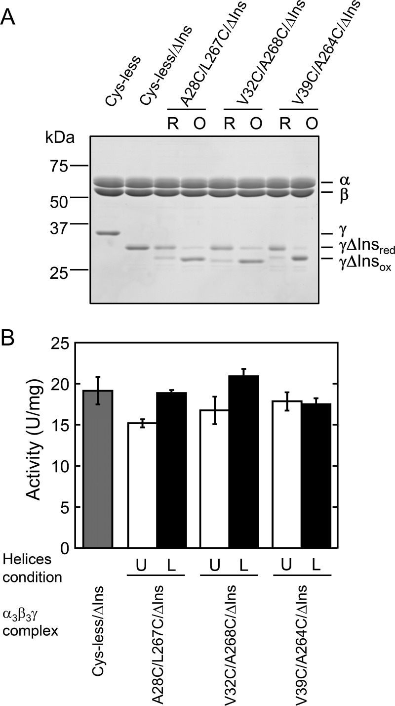 FIGURE 7.