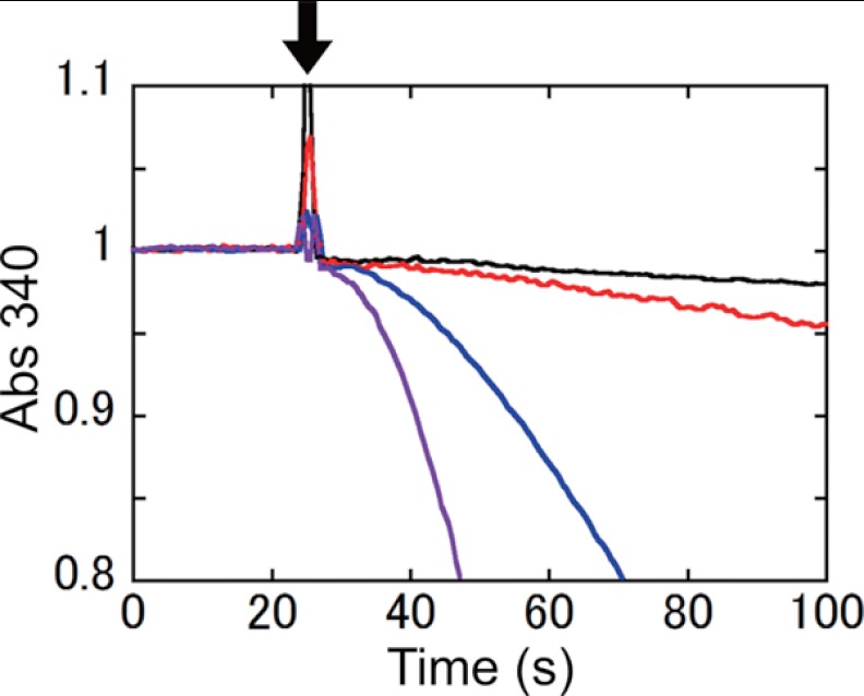 FIGURE 4.