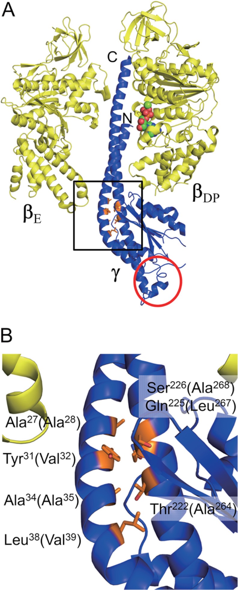 FIGURE 1.