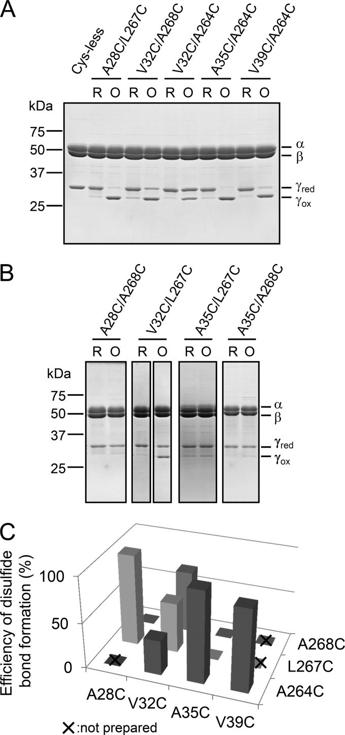 FIGURE 2.