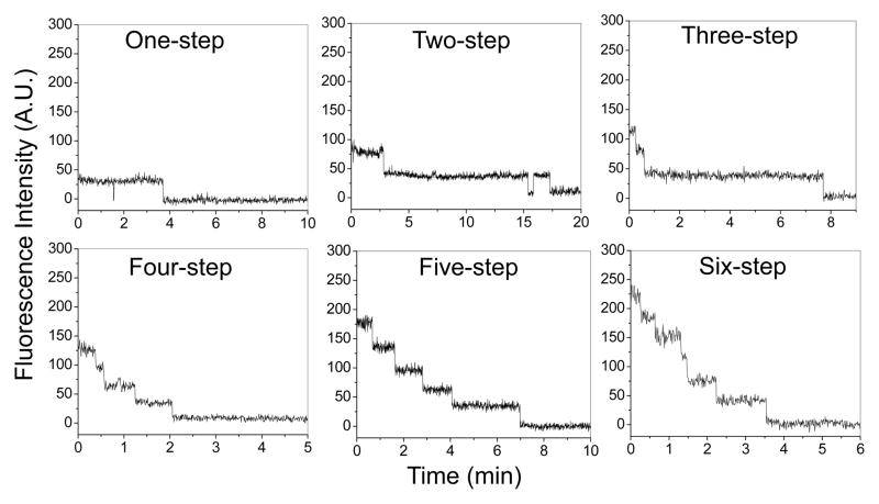 Fig. 3