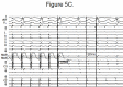Figure 5C.