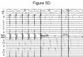 Figure 5D.