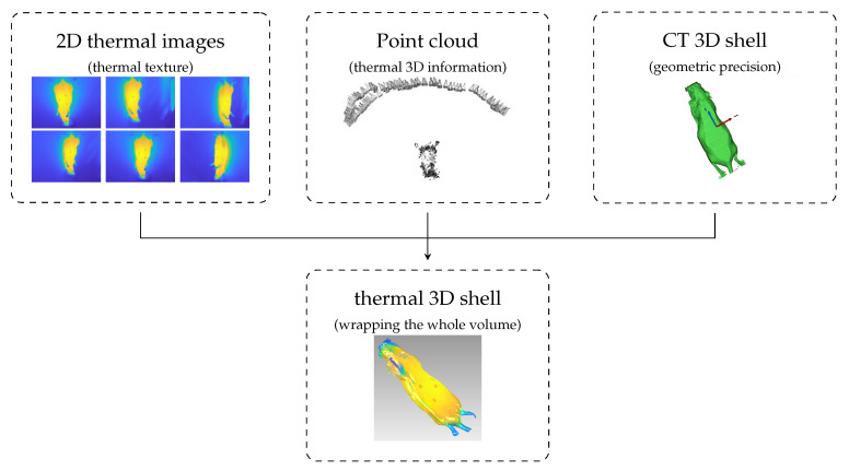 Figure 7