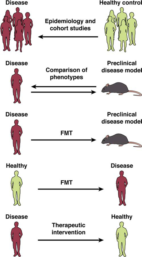 Figure 3: