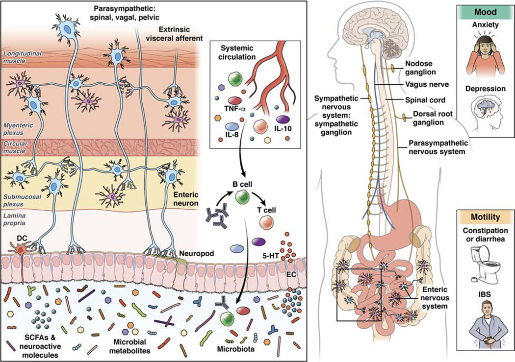 Figure 1: