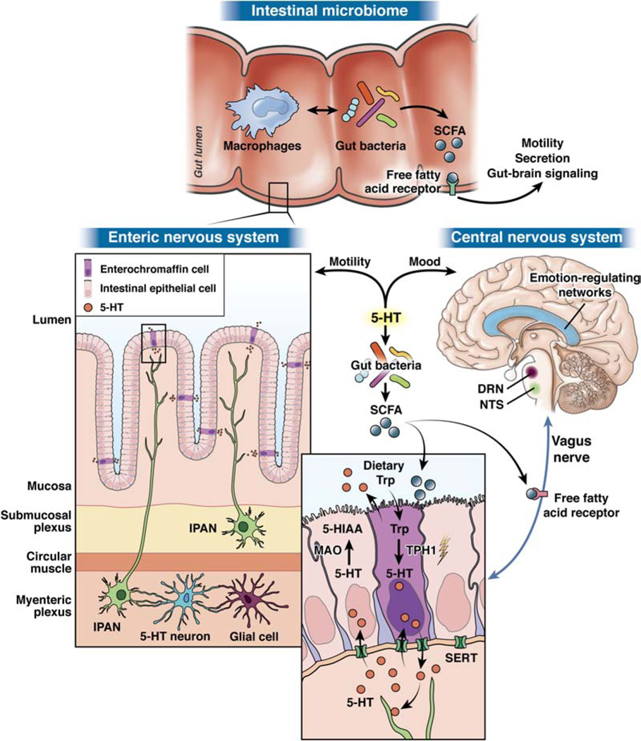 Figure 2: