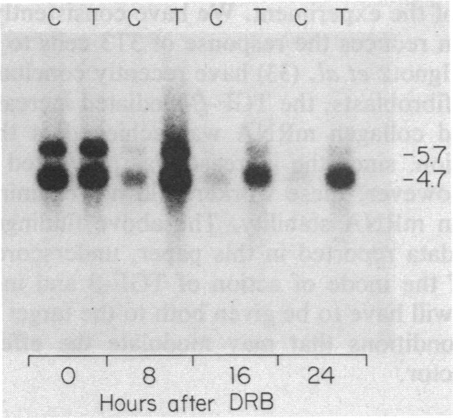 graphic file with name pnas00256-0146-c.jpg