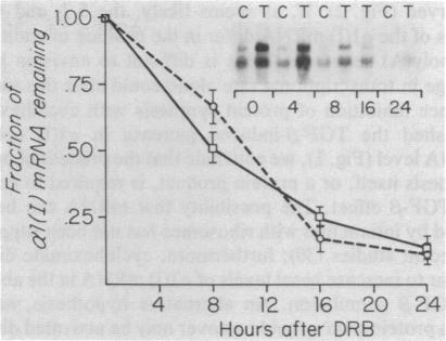 graphic file with name pnas00256-0146-a.jpg