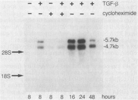 graphic file with name pnas00256-0145-a.jpg