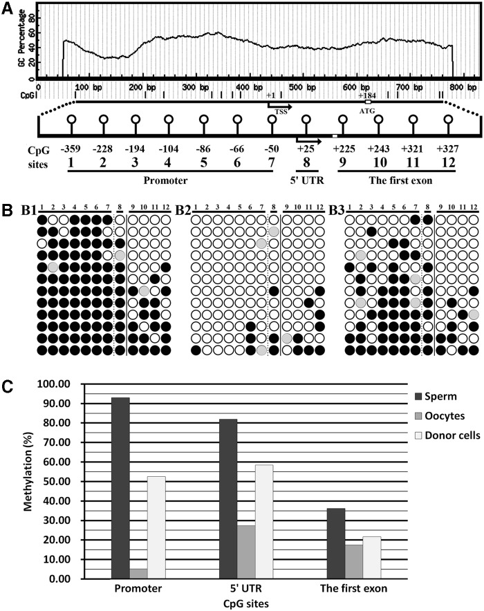 FIG. 1.