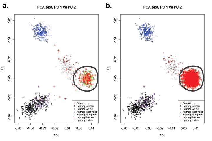 Figure 3—figure supplement 2.