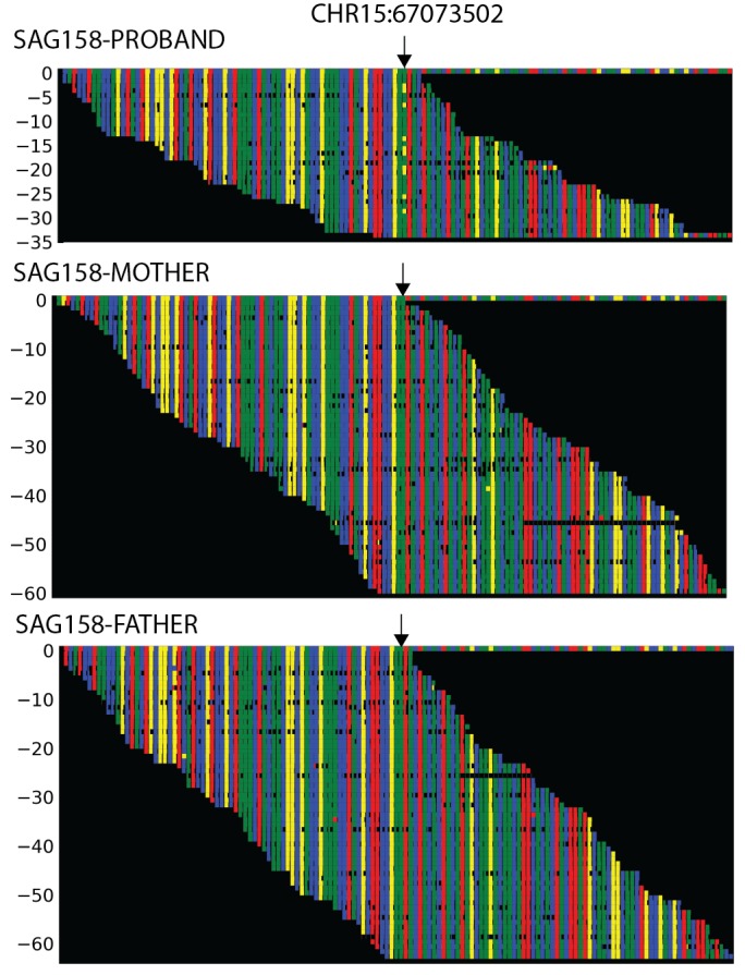 Figure 2—figure supplement 1.