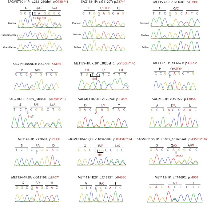 Figure 2—figure supplement 2.