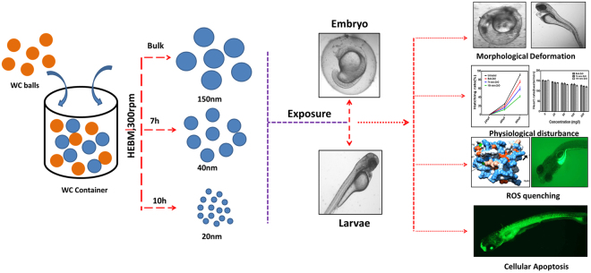 Figure 14