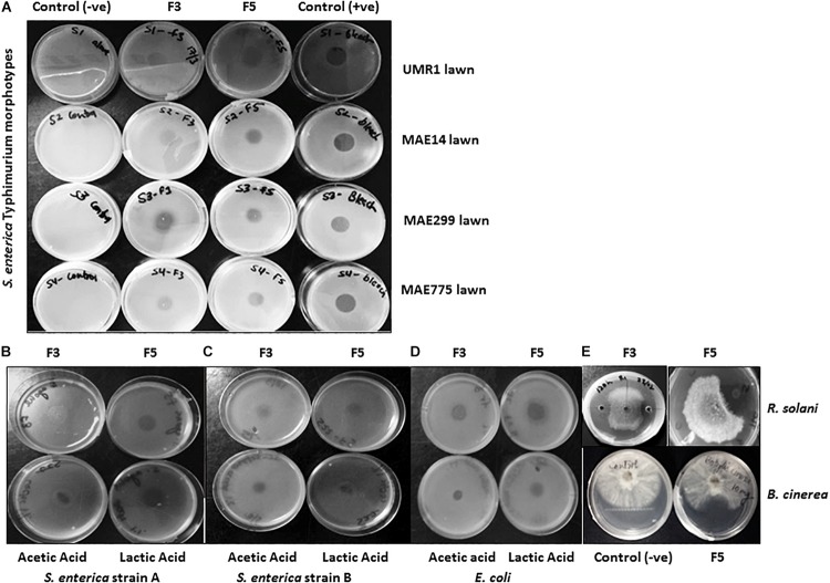 FIGURE 4