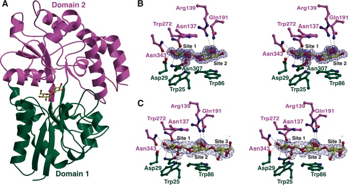 FIGURE 4.