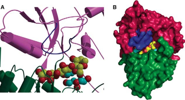 FIGURE 7.