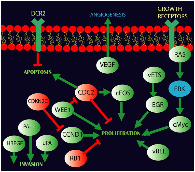 Fig 8