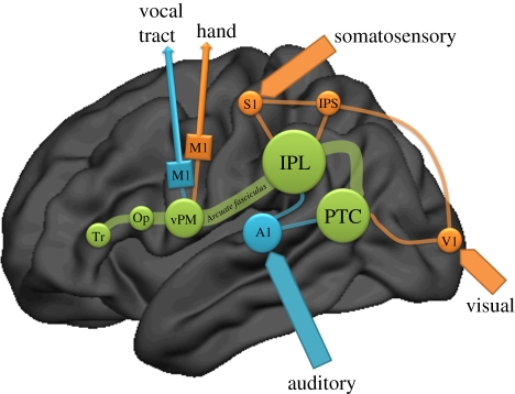 Figure 1.