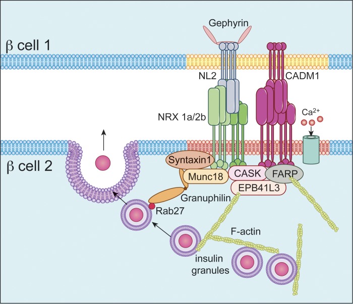 Fig. 9.