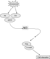 Fig. 9.