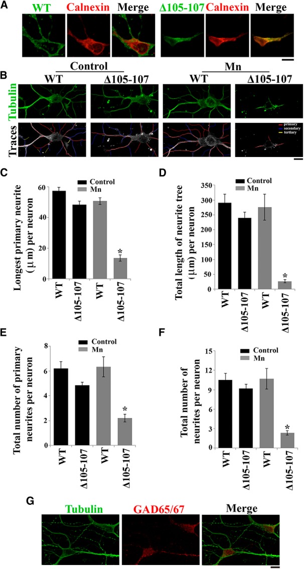 Figure 11.