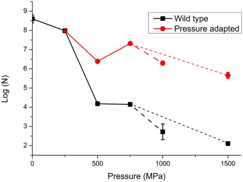 FIGURE 3