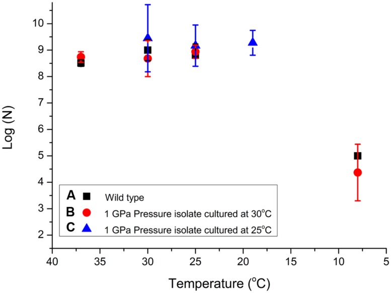 FIGURE 4