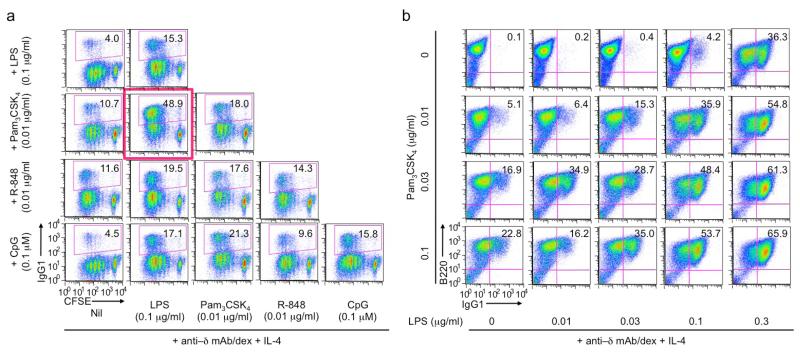 Figure 4