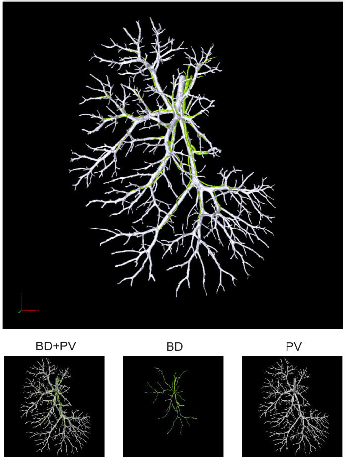 Figure 1—figure supplement 10.