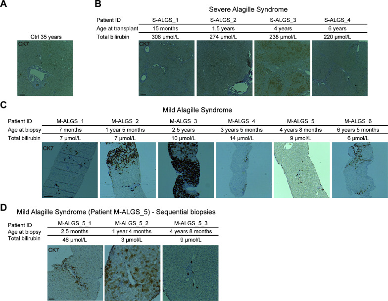 Figure 2—figure supplement 1.