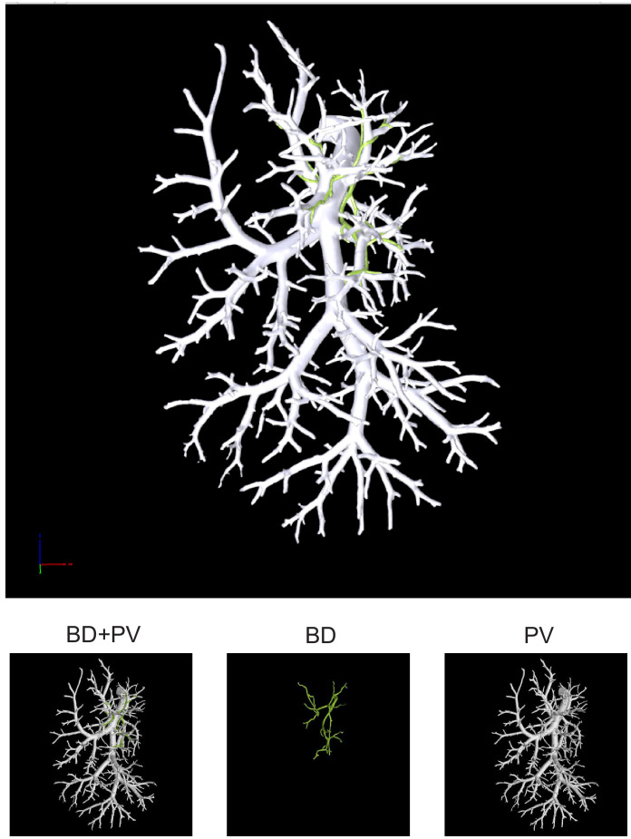 Figure 1—figure supplement 4.