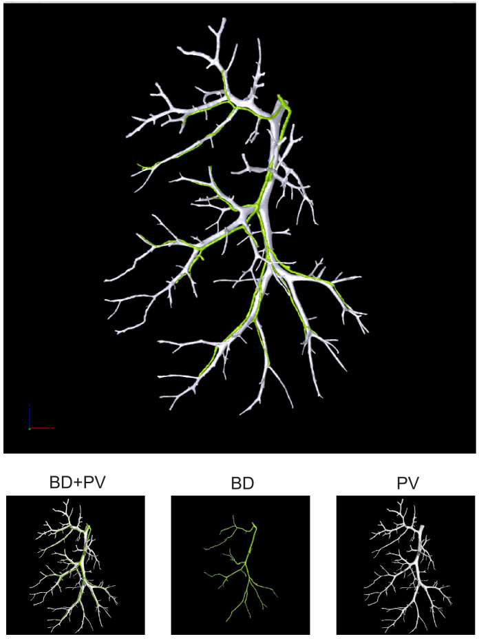 Figure 1—figure supplement 6.