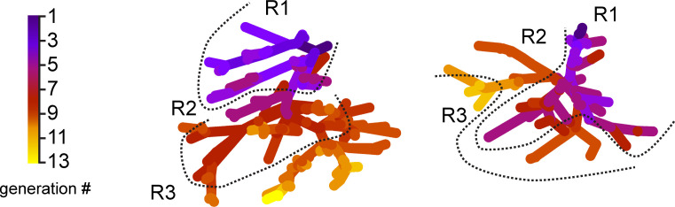 Figure 5—figure supplement 1.